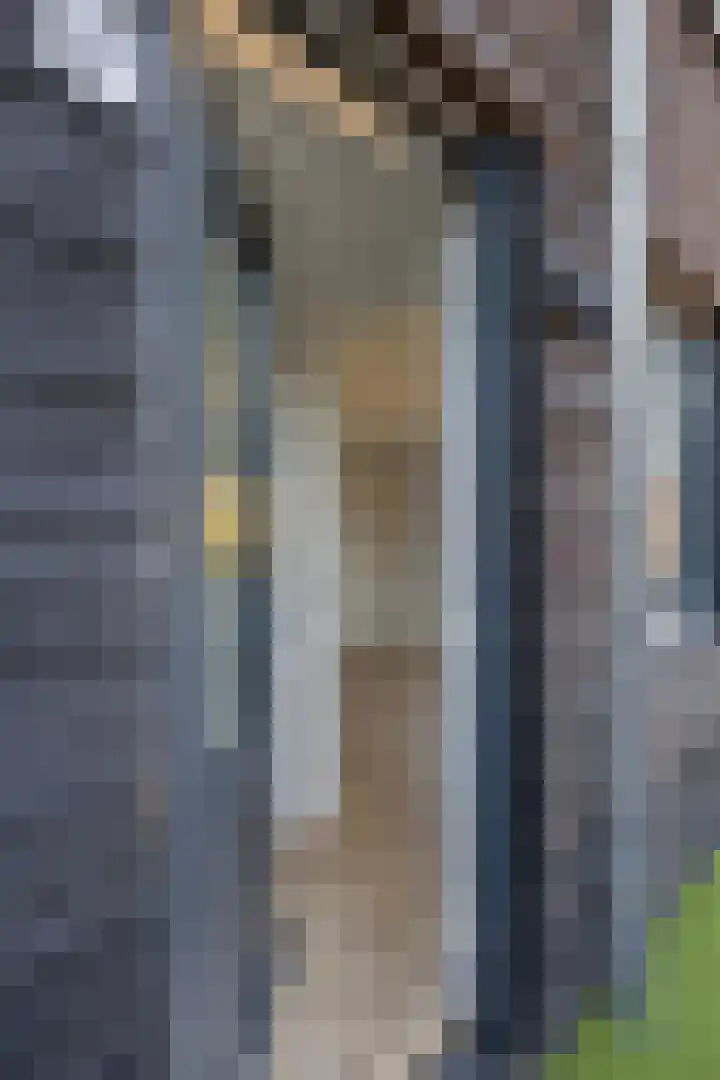 Bredaseweg 38 M Oosterhout thumbnail 9