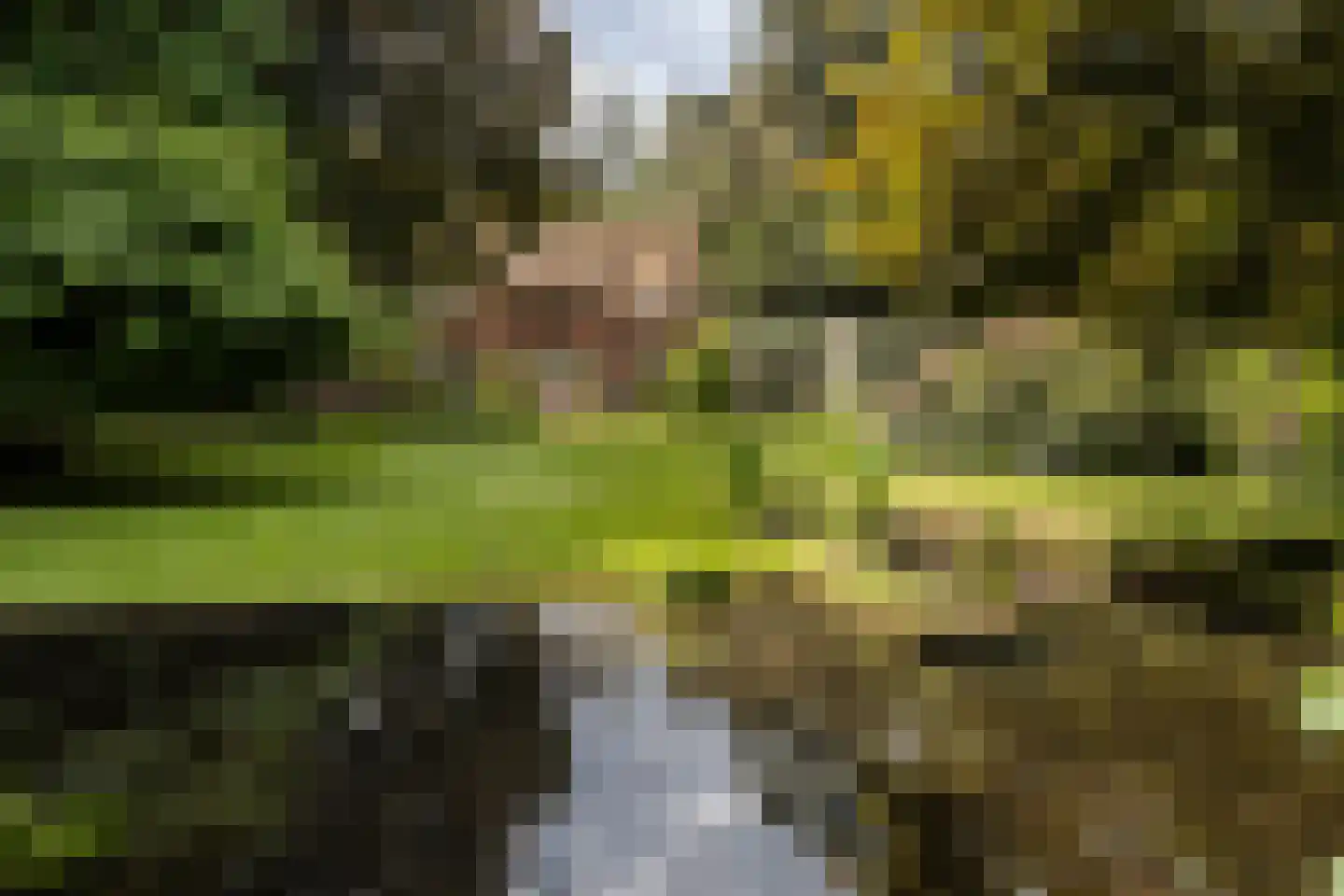 Bredaseweg 389 Tilburg thumbnail 29