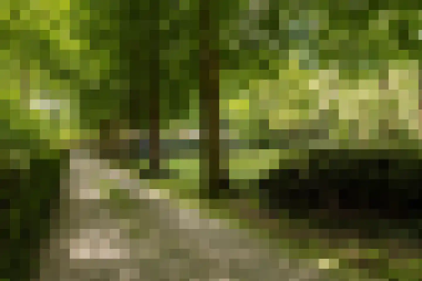 Bredaseweg 389 Tilburg thumbnail 32