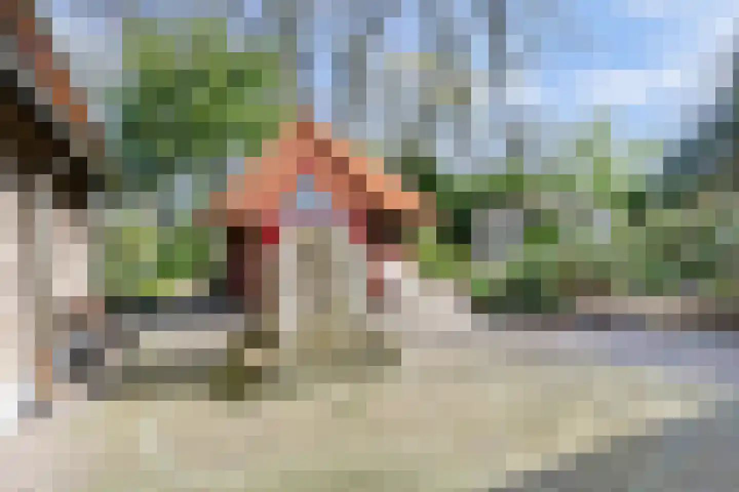 Bredaseweg 39 Rijsbergen thumbnail 43