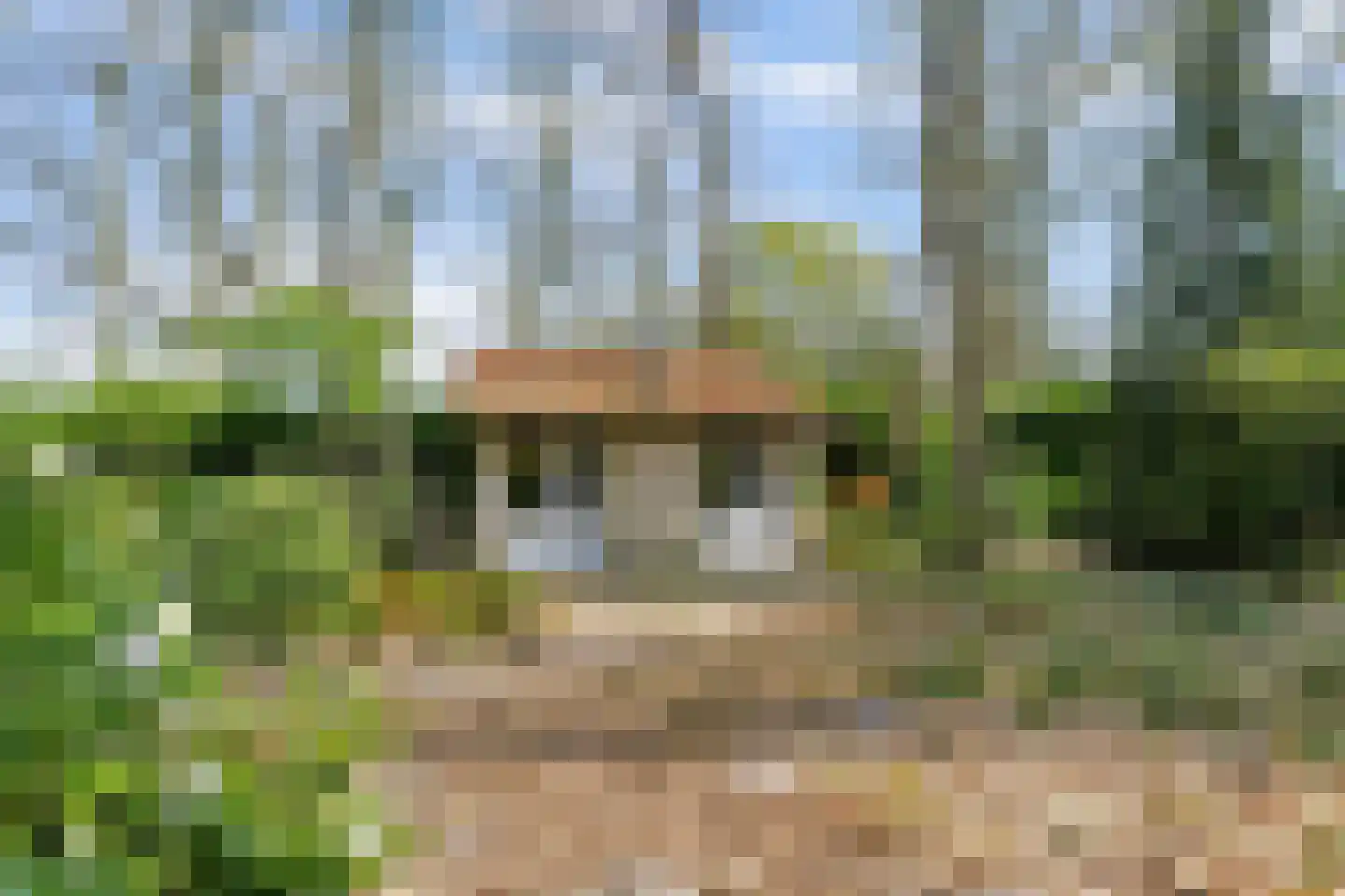 Bredaseweg 39 Rijsbergen thumbnail 44