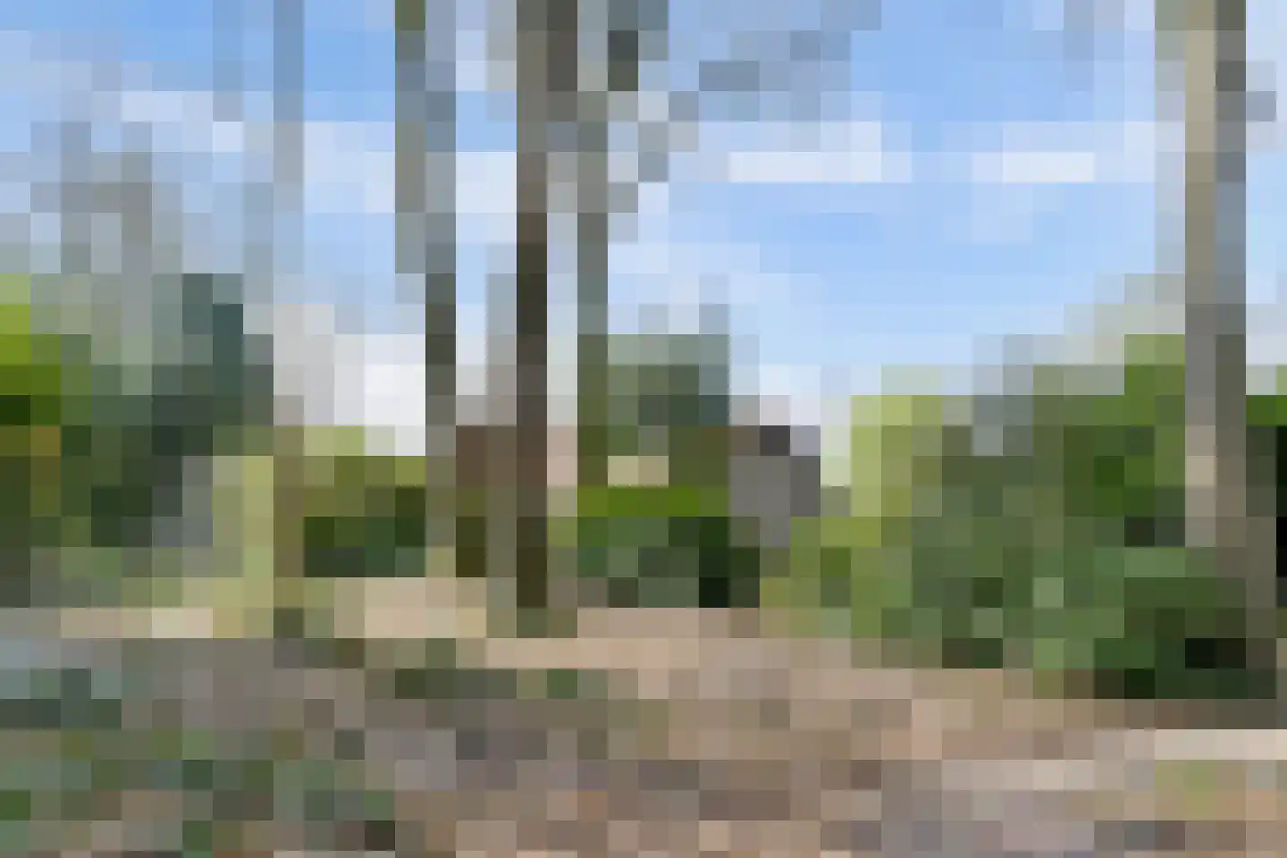 Bredaseweg 39 Rijsbergen thumbnail 45