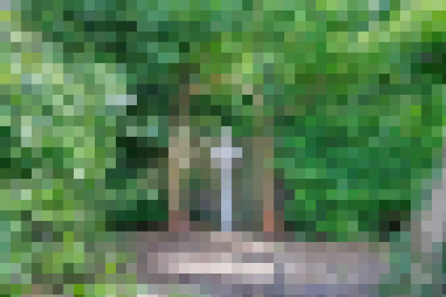 Bredaseweg 39 Rijsbergen thumbnail 46