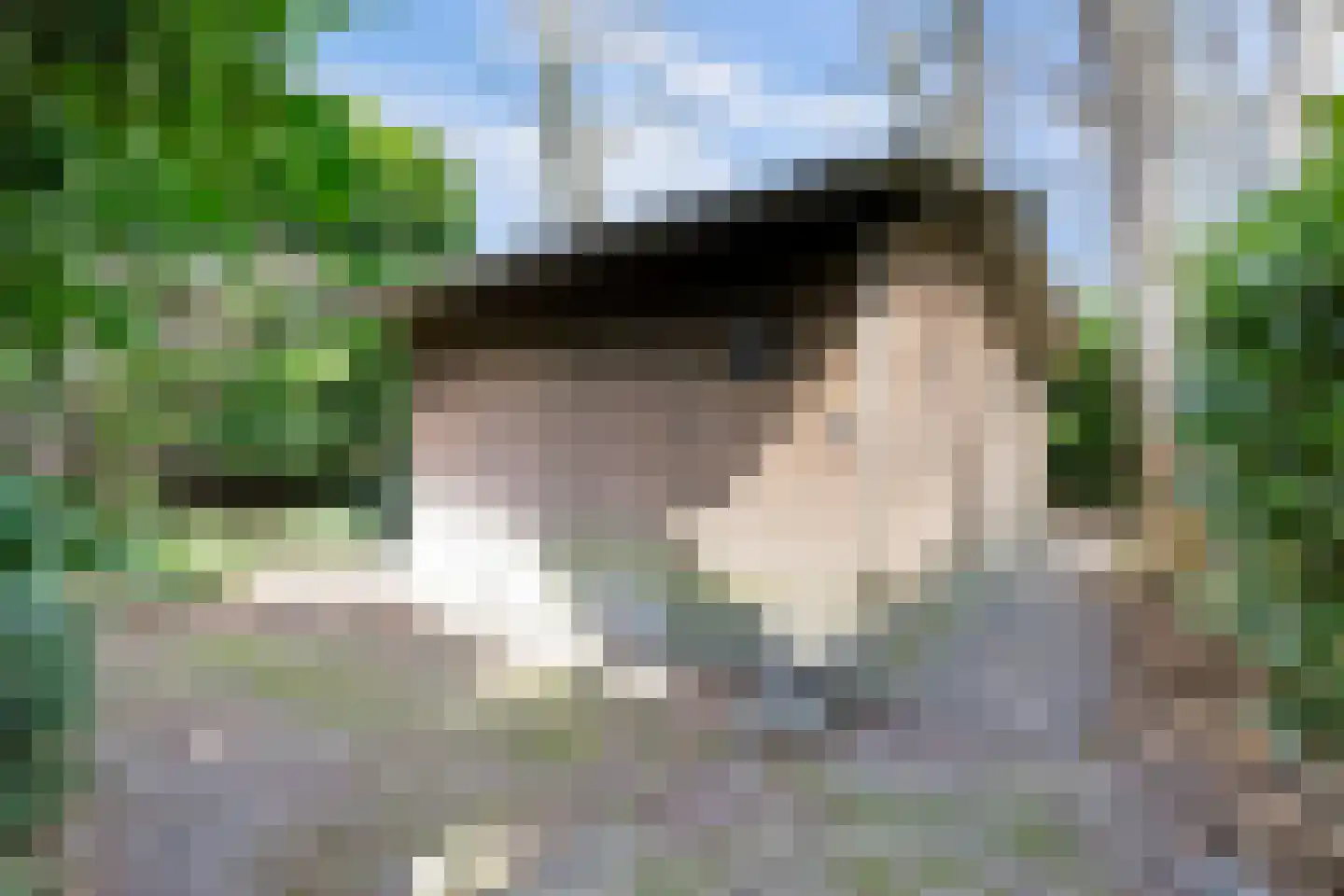 Bredaseweg 39 Rijsbergen thumbnail 47