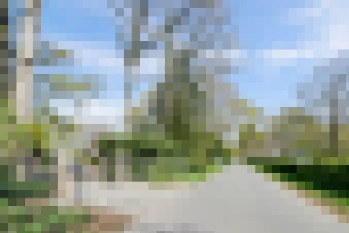 Bredaseweg 39 Rijsbergen thumbnail 5