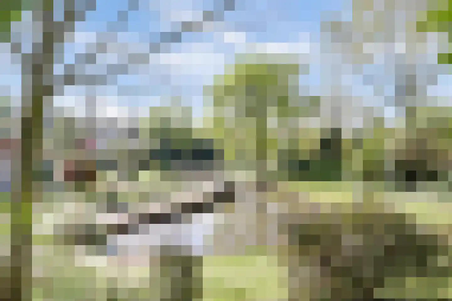 Bredaseweg 39 Rijsbergen thumbnail 51