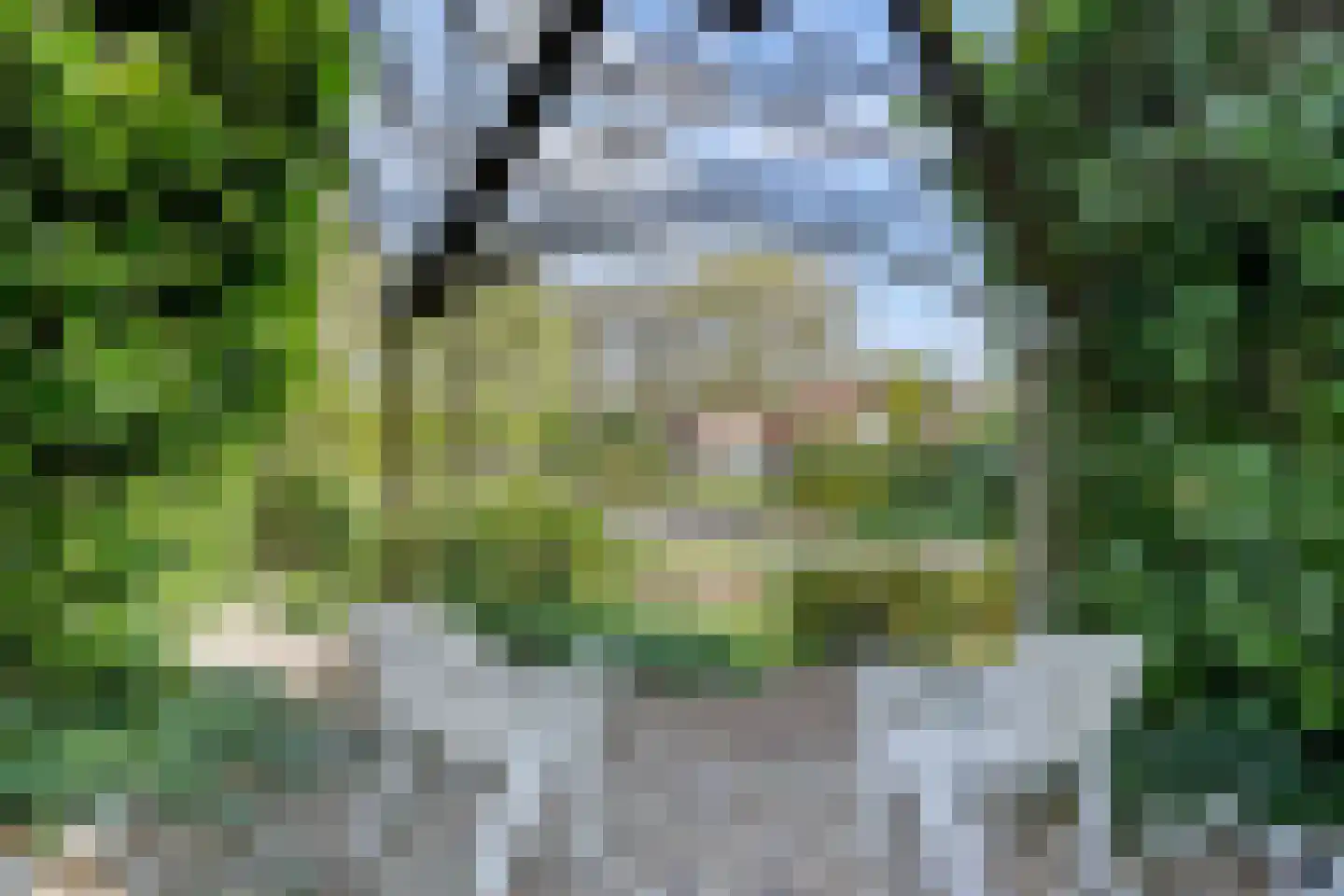 Bredaseweg 39 Rijsbergen thumbnail 55