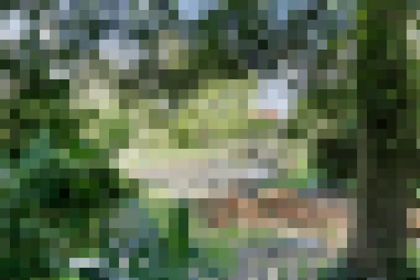 Bredaseweg 39 Rijsbergen thumbnail 56