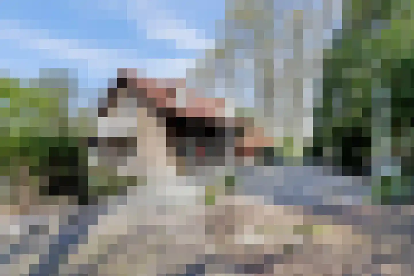 Bredaseweg 39 Rijsbergen thumbnail 62
