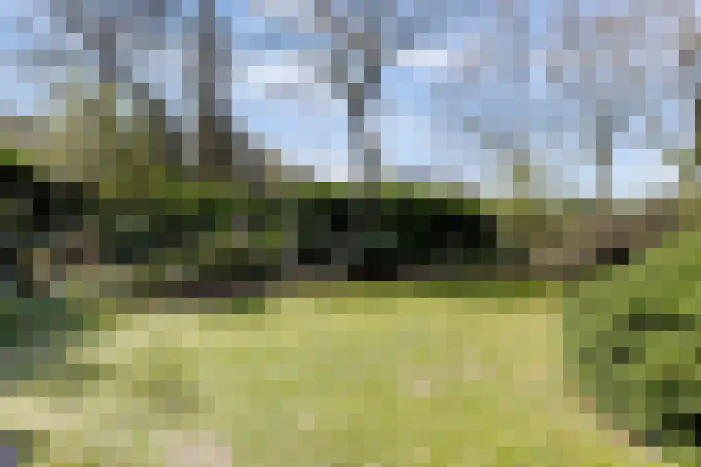 Bredaseweg 39 Rijsbergen thumbnail 63