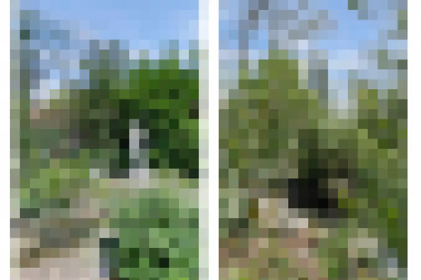 Bredaseweg 39 Rijsbergen thumbnail 64