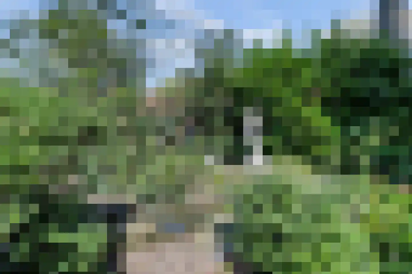 Bredaseweg 39 Rijsbergen thumbnail 65