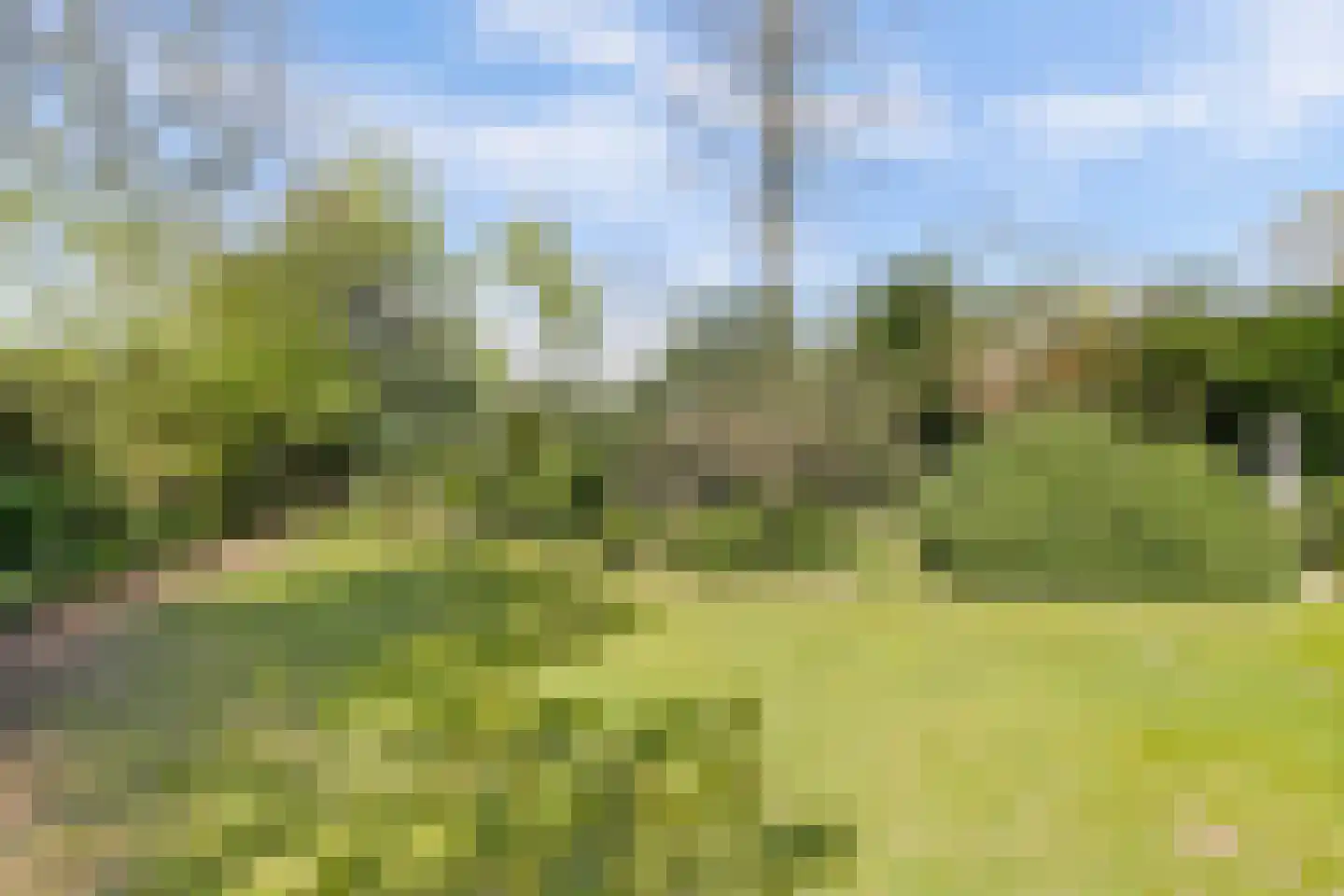 Bredaseweg 39 Rijsbergen thumbnail 66