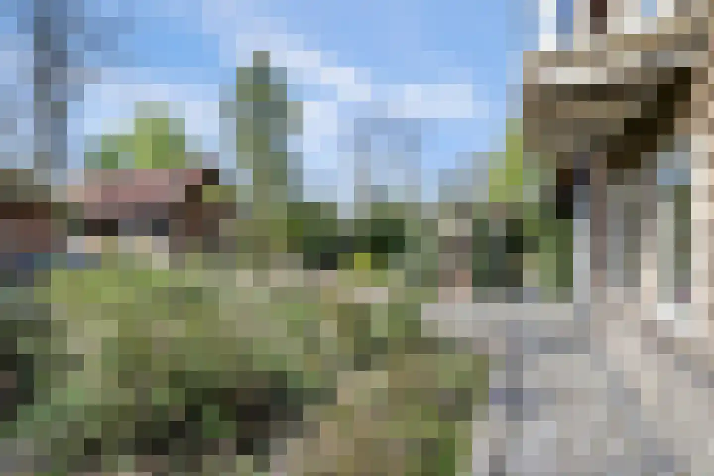 Bredaseweg 39 Rijsbergen thumbnail 8