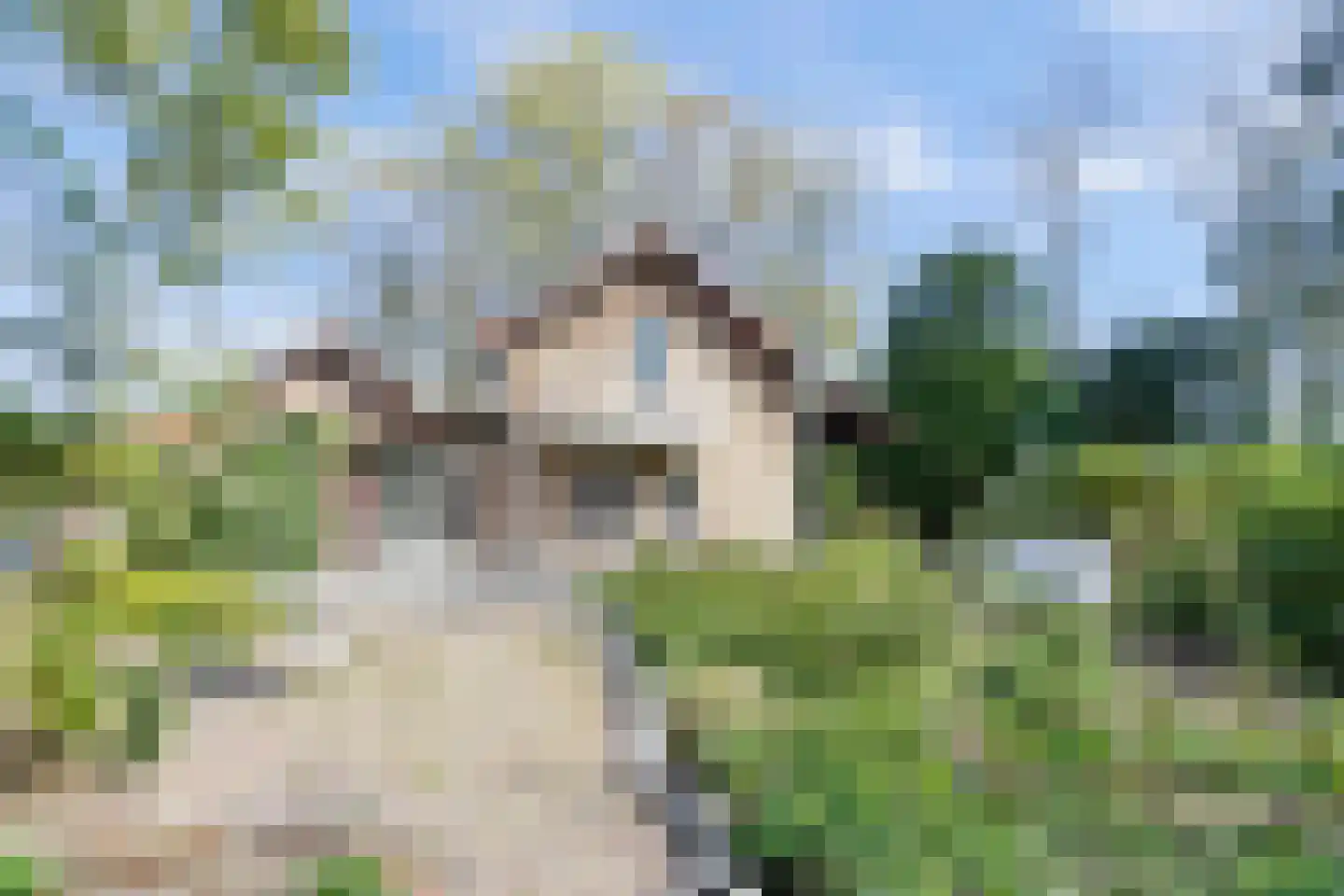 Bredaseweg 39 Rijsbergen thumbnail 9