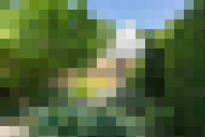 Bredaseweg 408 Tilburg thumbnail 46