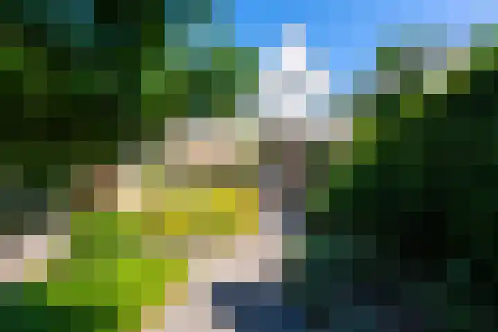 Bredaseweg 408 Tilburg thumbnail 47