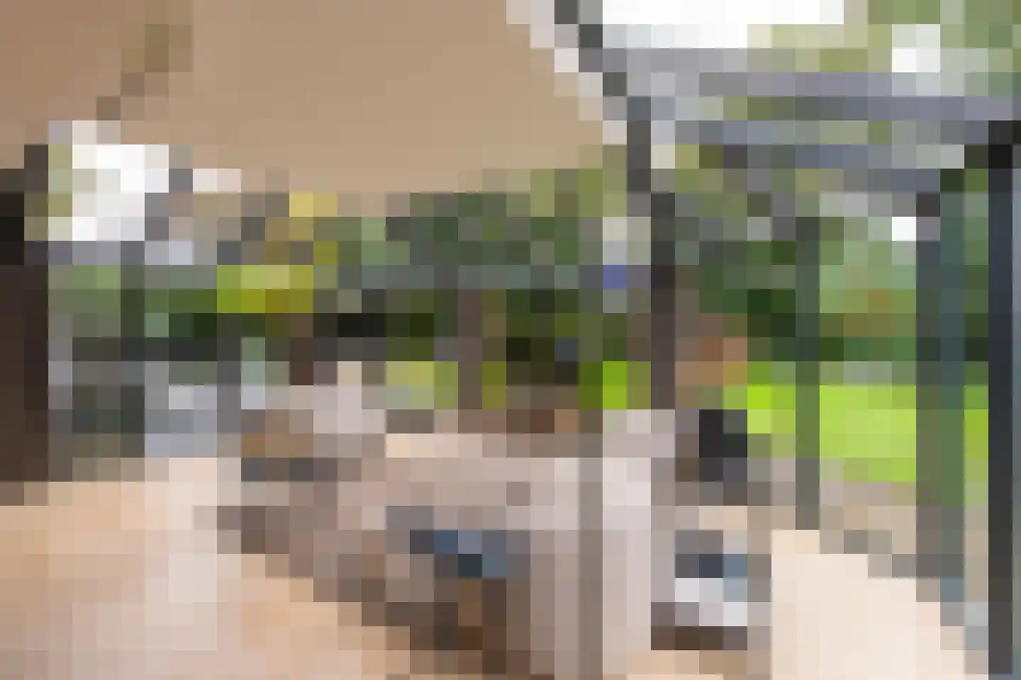 Bredaseweg 438 Tilburg thumbnail 6