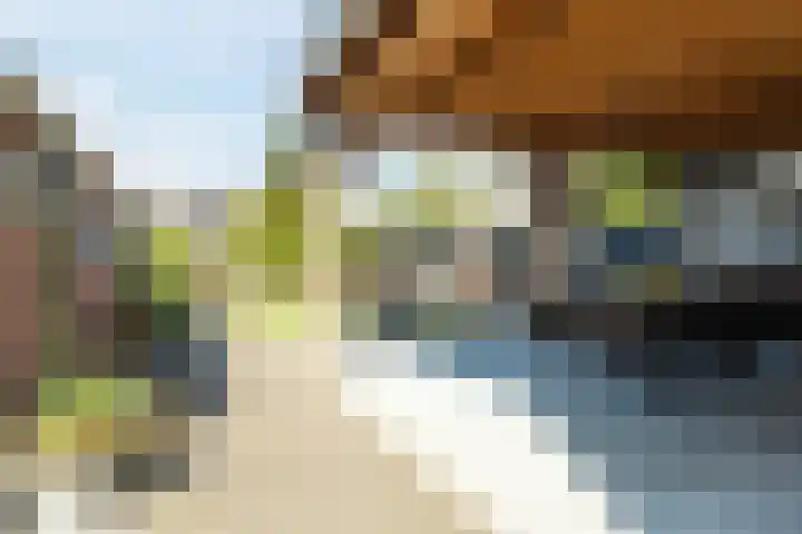 Bredaseweg 44 Chaam thumbnail 30