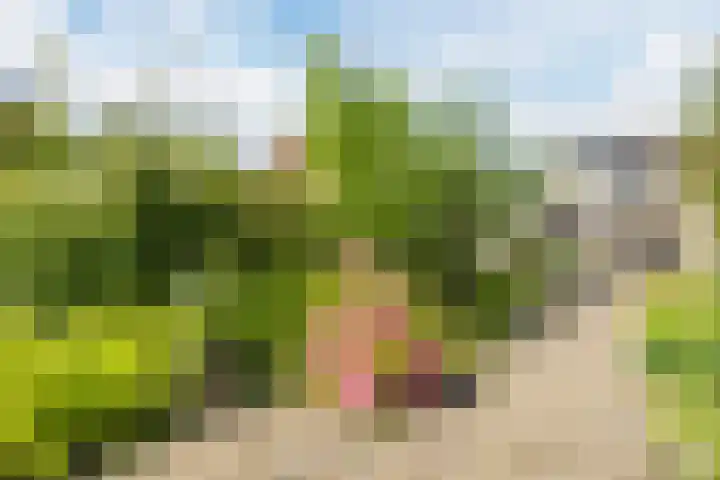 Bredaseweg 44 Chaam thumbnail 35