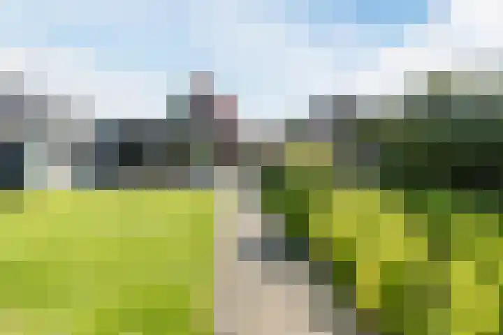 Bredaseweg 44 Chaam thumbnail 36