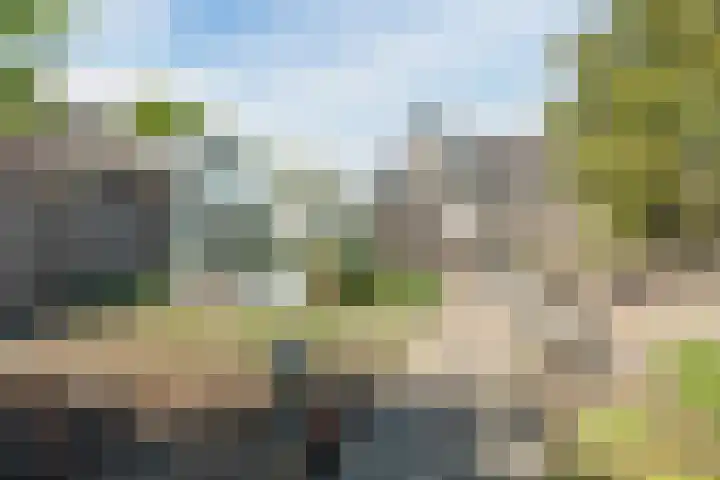 Bredaseweg 44 Chaam thumbnail 37