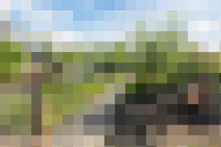 Bredaseweg 44 Chaam thumbnail 38