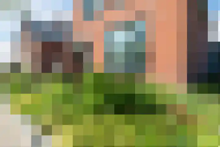 Bredaseweg 44 Chaam thumbnail 41