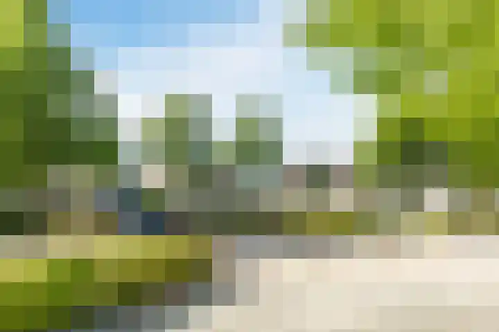 Bredaseweg 44 Chaam thumbnail 44