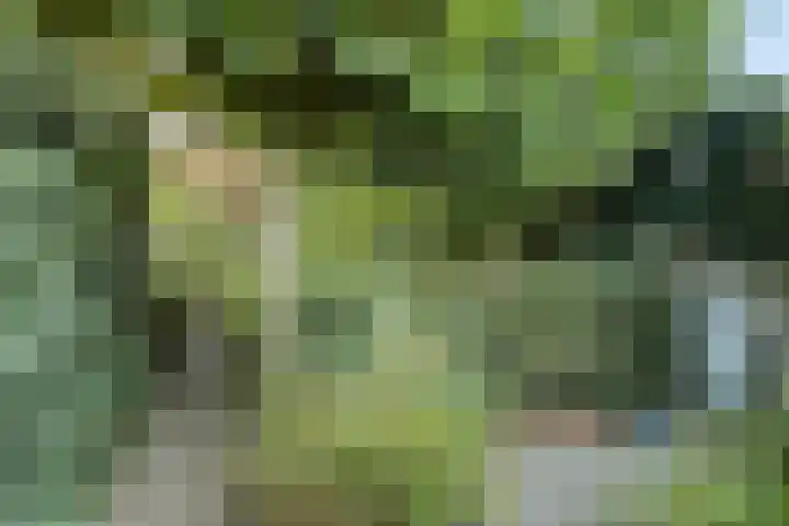 Bredaseweg 50 Oosterhout thumbnail 33