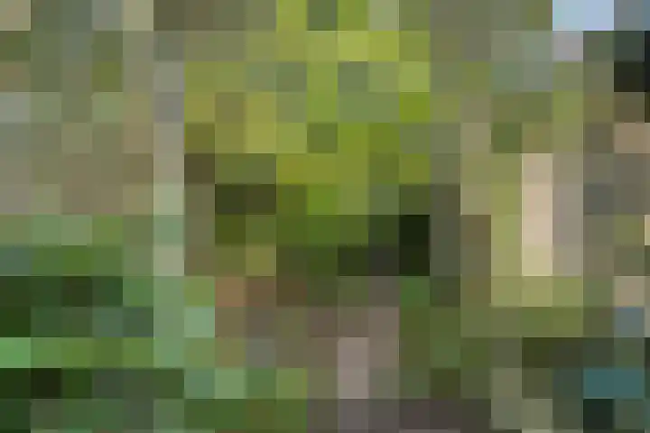 Bredaseweg 50 Oosterhout thumbnail 38