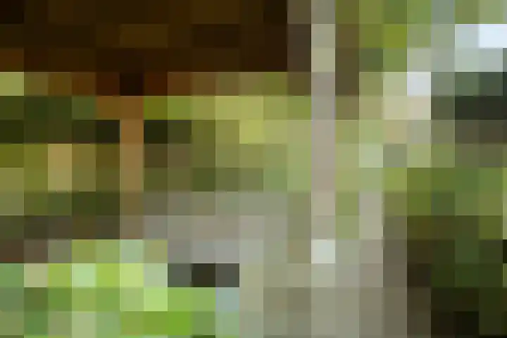 Bredaseweg 50 Oosterhout thumbnail 4