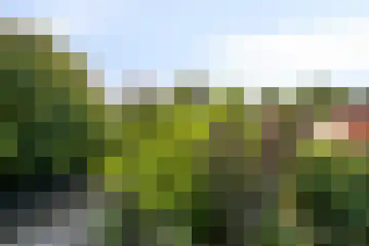 Bredaseweg 50 Oosterhout thumbnail 40