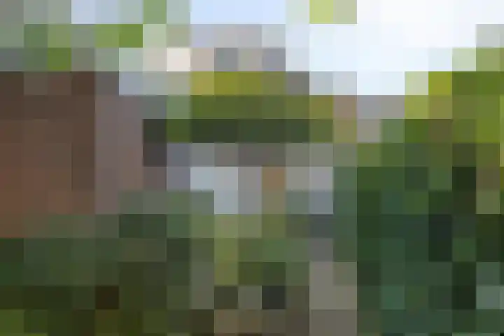 Bredaseweg 50 Oosterhout thumbnail 5