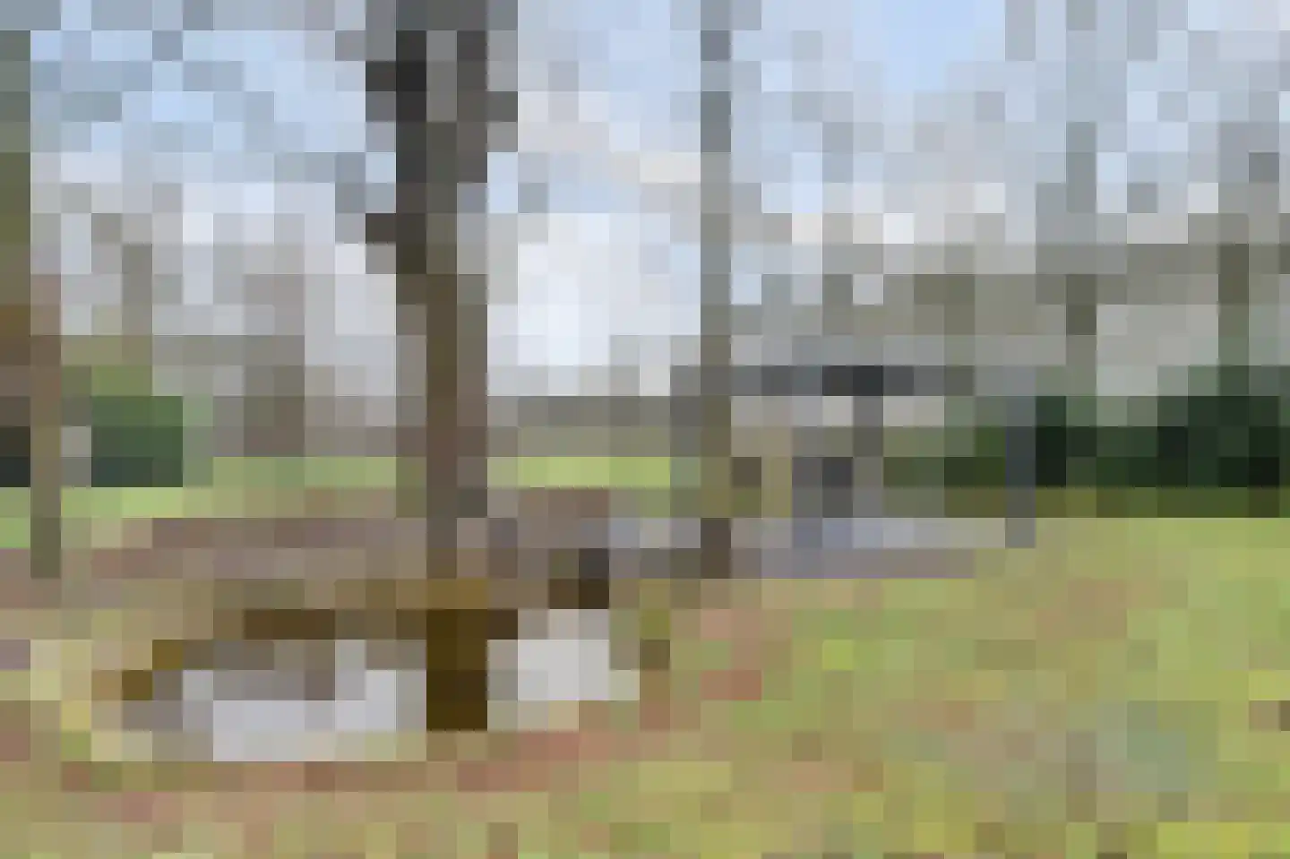 Bredaseweg 529 Tilburg thumbnail 39