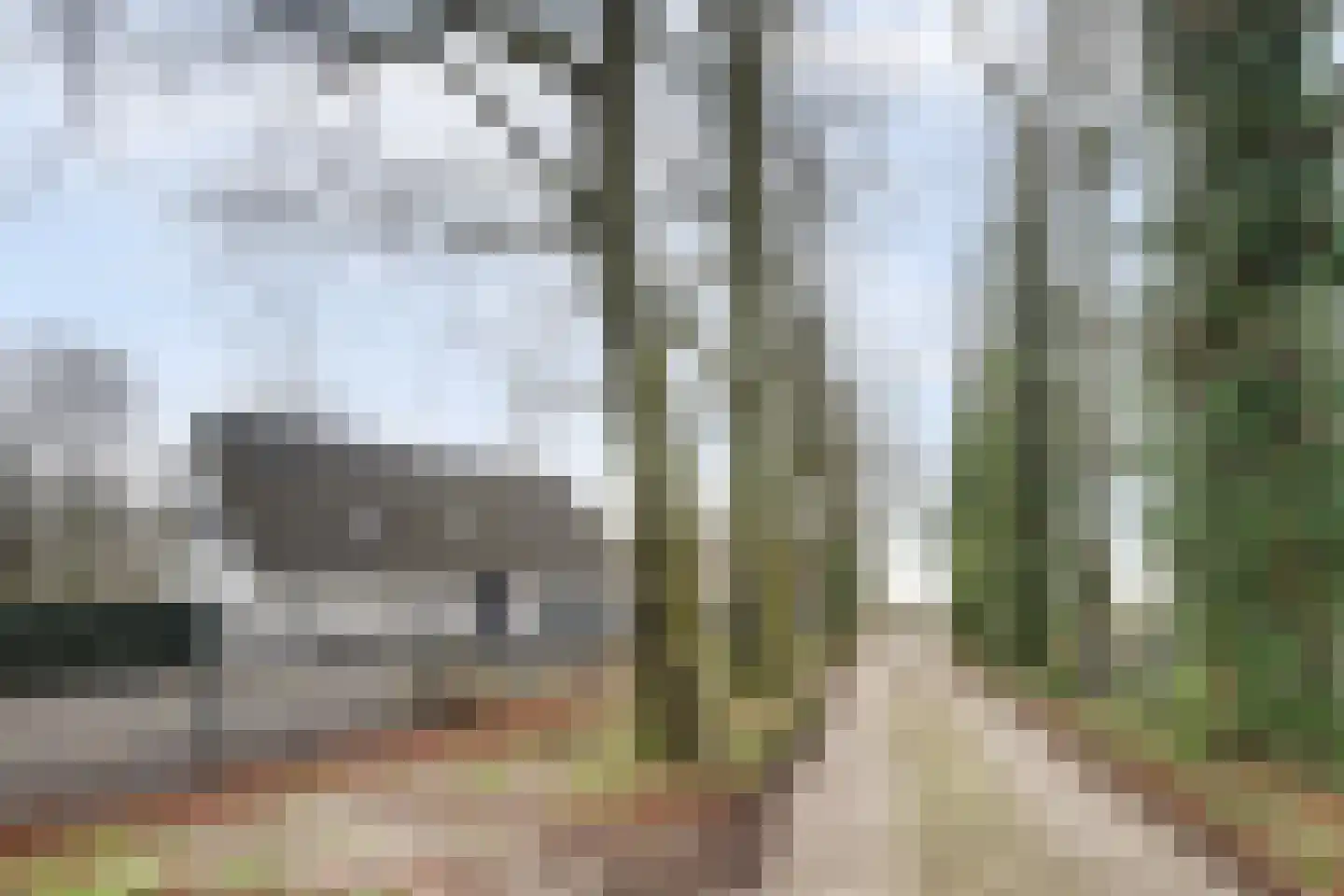Bredaseweg 529 Tilburg thumbnail 5