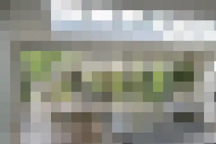Bredaseweg 6 Oosterhout thumbnail 17