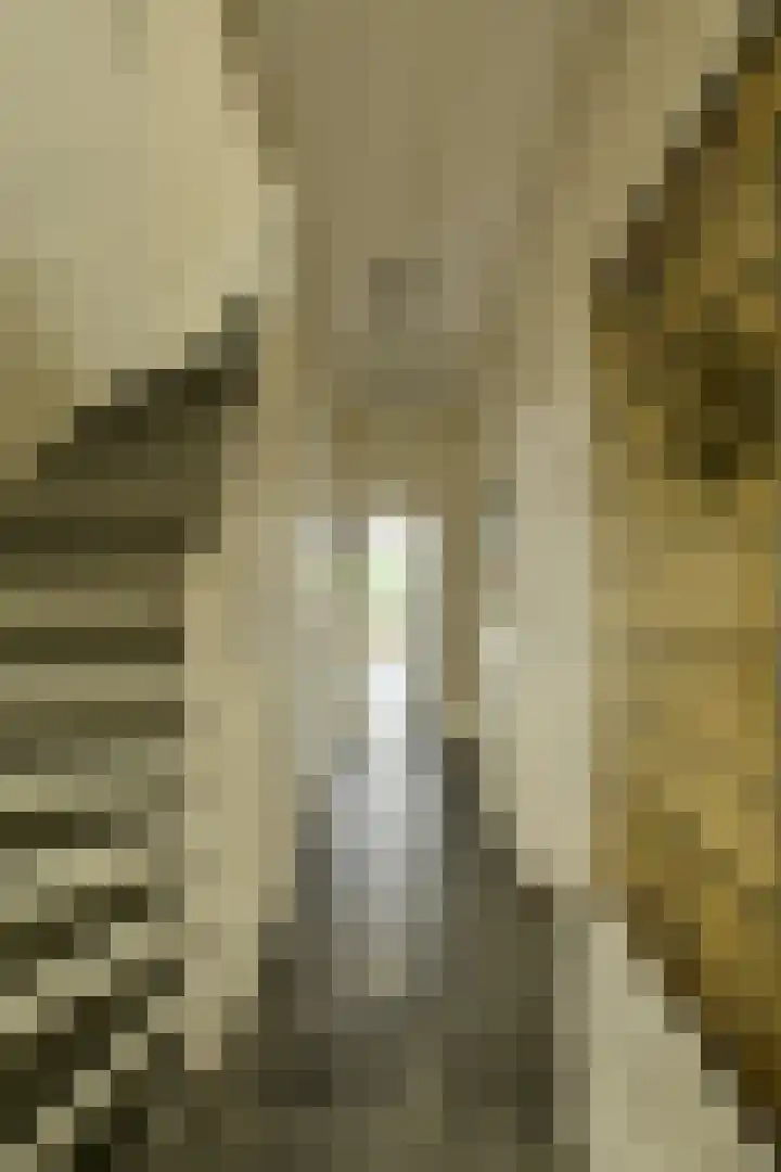 Bredaseweg 6 Oosterhout thumbnail 22