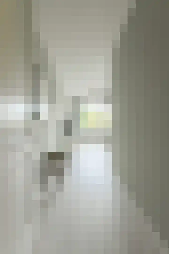 Bredaseweg 6 Oosterhout thumbnail 36
