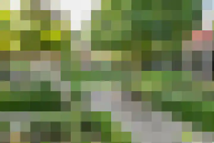 Bredaseweg 6 Oosterhout thumbnail 49