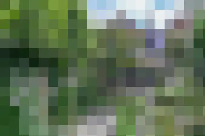 Bredaseweg 6 Oosterhout thumbnail 51