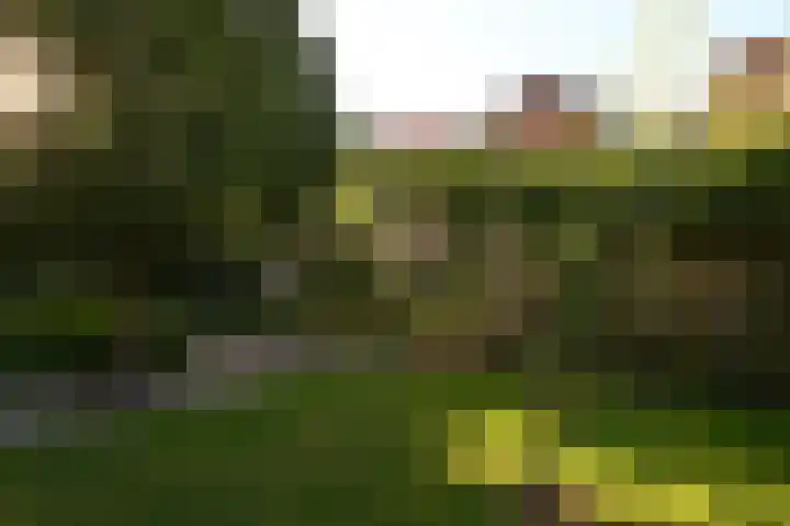 Bredaseweg 6 Oosterhout thumbnail 54