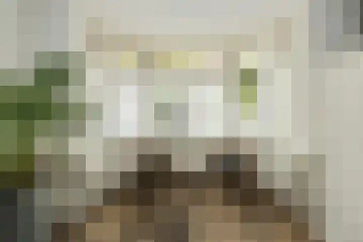 Bredaseweg 6 Oosterhout thumbnail 7
