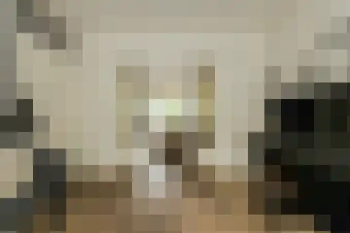 Bredaseweg 6 Oosterhout thumbnail 8