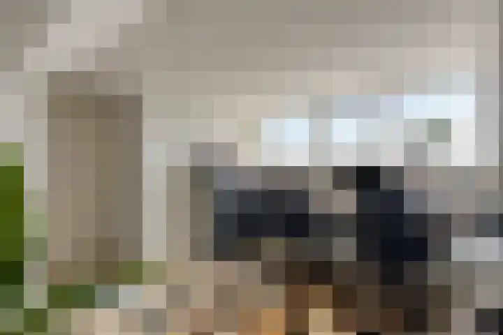 Bredaseweg 7 Chaam thumbnail 31