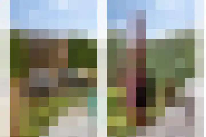 Bredaseweg 7 Chaam thumbnail 38