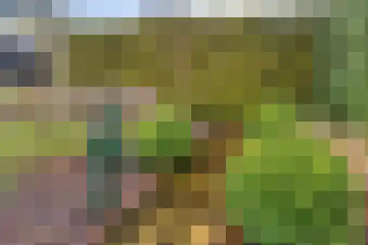 Bredaseweg 7 Chaam thumbnail 39
