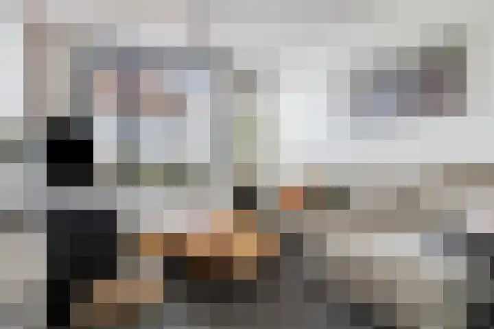 Bredaseweg 7 Chaam thumbnail 5