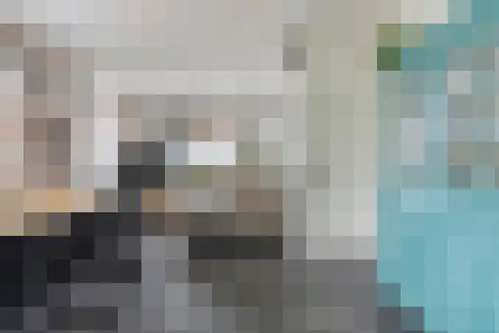 Bredaseweg 7 Chaam thumbnail 8