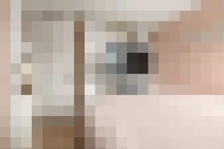 Bredasingel 117 Arnhem thumbnail 19